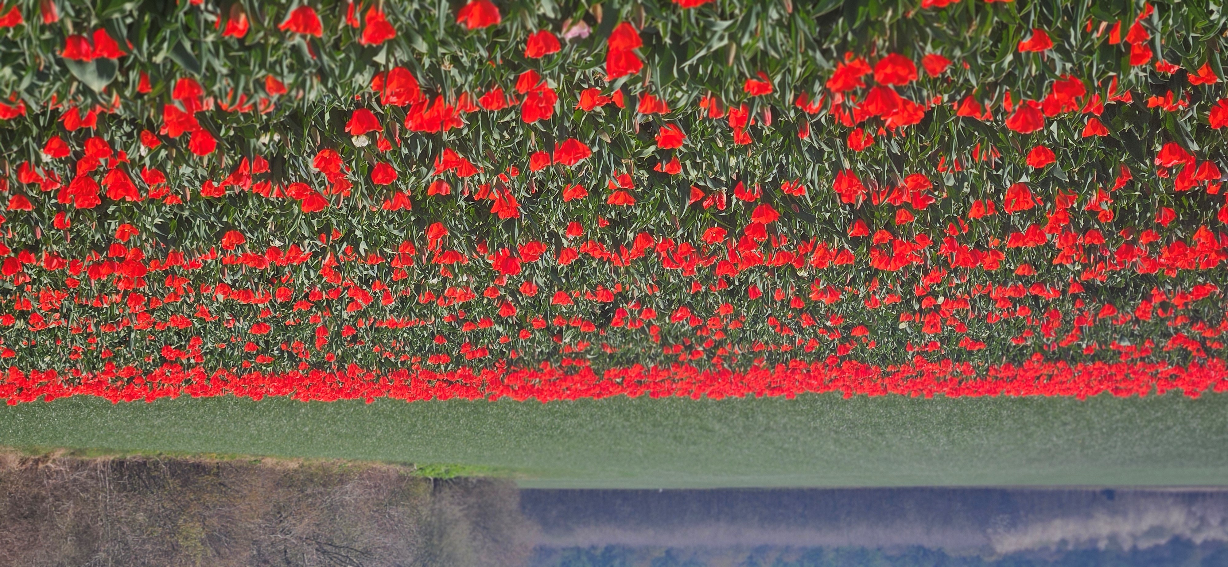 May Holiday in Groningen - a perfect family shortlist of activities